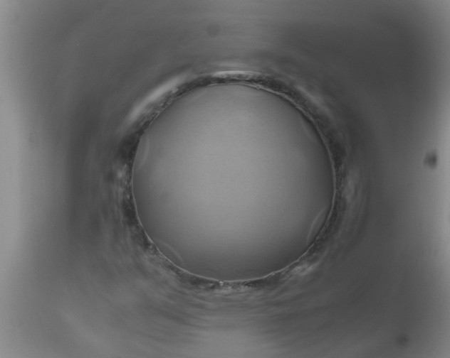 X0000110971351200907022235