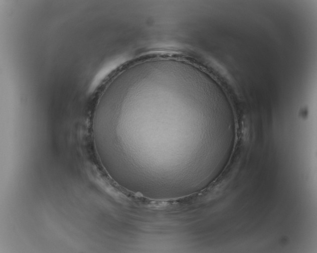 X0000110971352200907022235