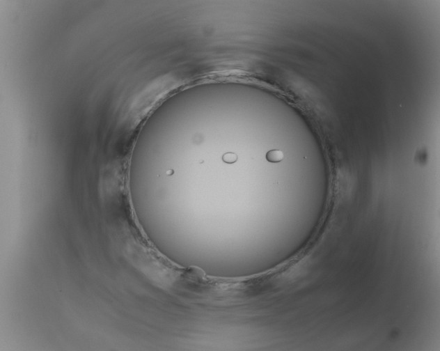 X0000110971353200907022235