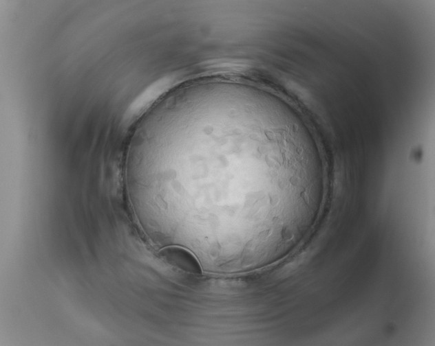 X0000110971354200907022235