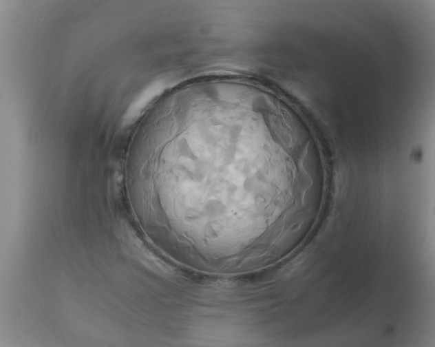 X0000110971355200907022235