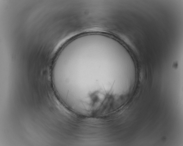 X0000110971356200907022235