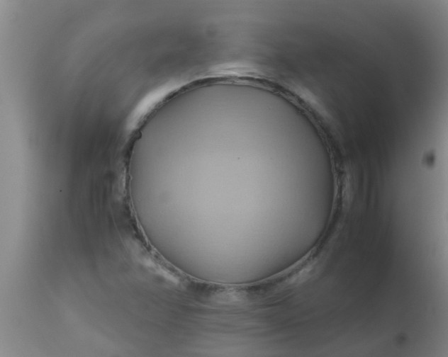 X0000110971358200907022235