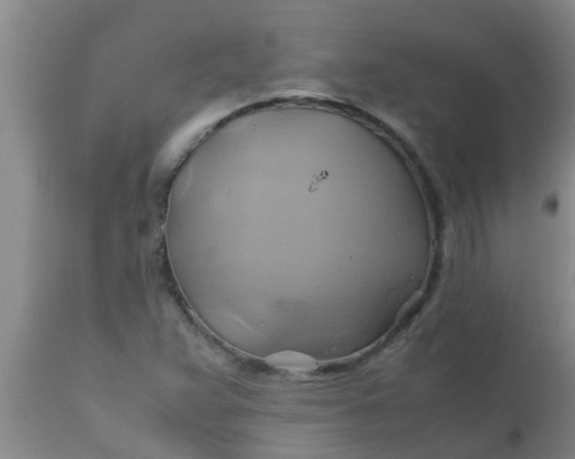 X0000110971359200907022235