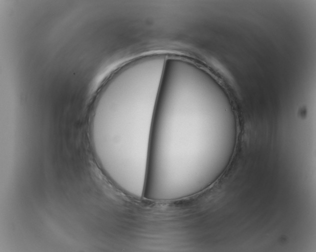 X0000110971360200907022235