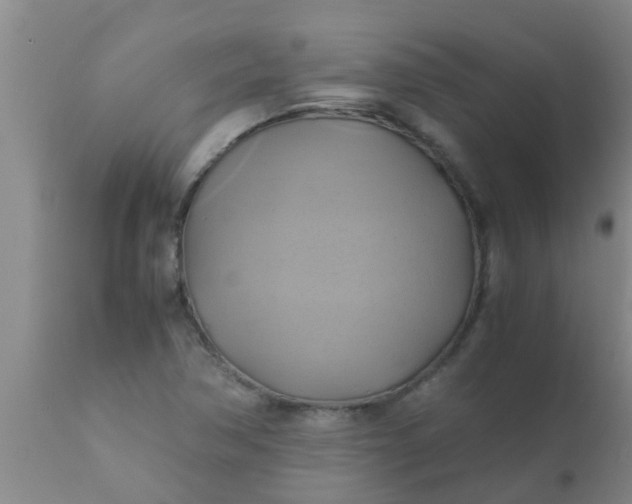 X0000110971362200907022235