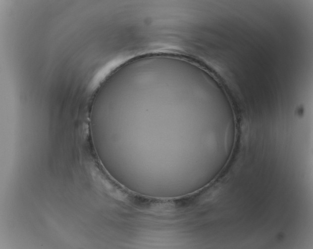 X0000110971363200907022235