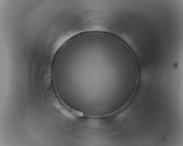 X0000110971364200907022235