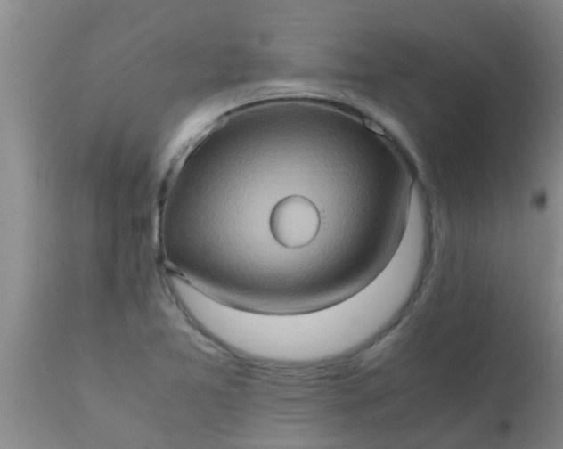 X0000110971365200907022235