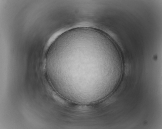 X0000110971366200907022235