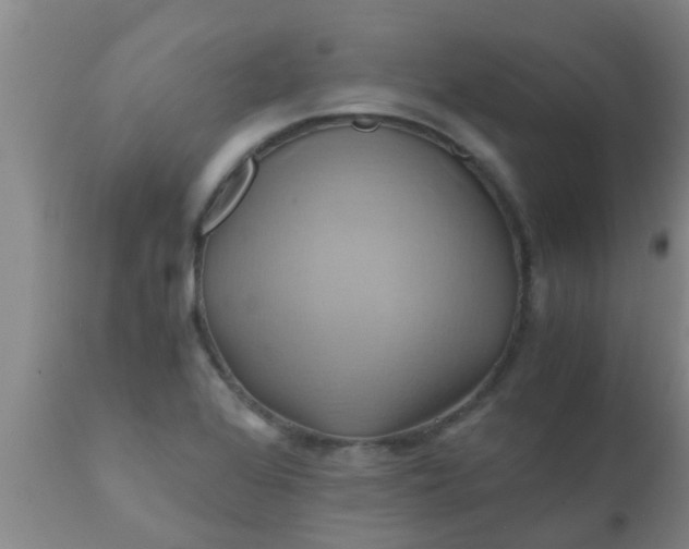 X0000110971368200907022235