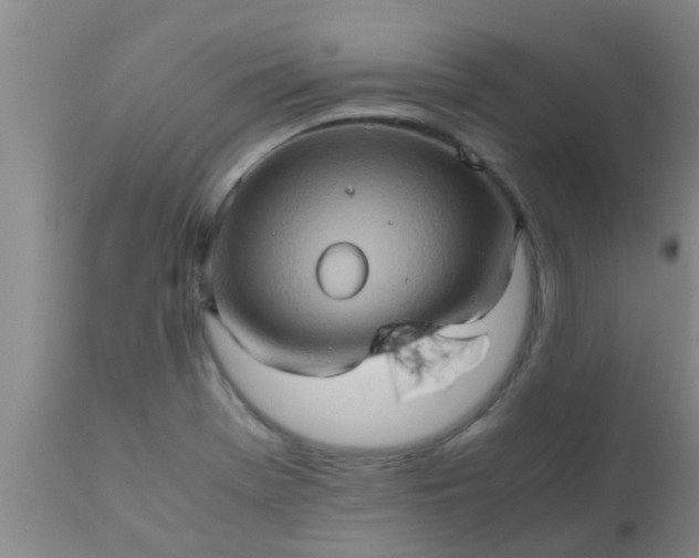 X0000110971369200907022235