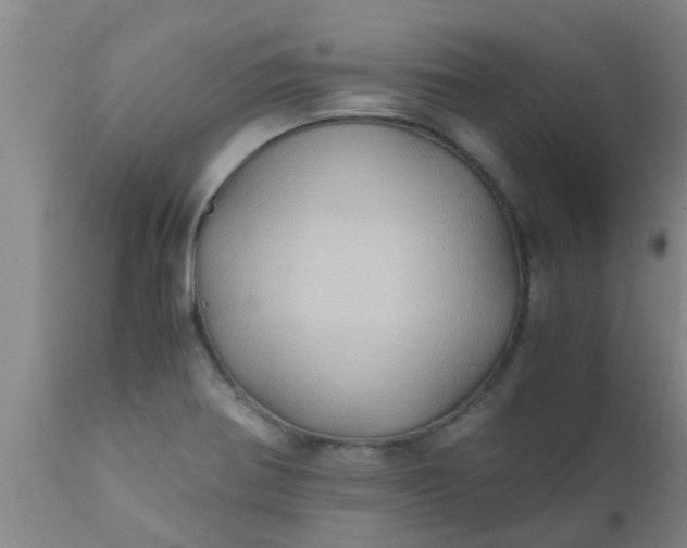 X0000110971370200907022235