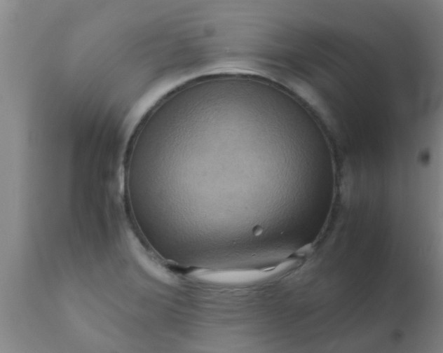 X0000110971372200907022235