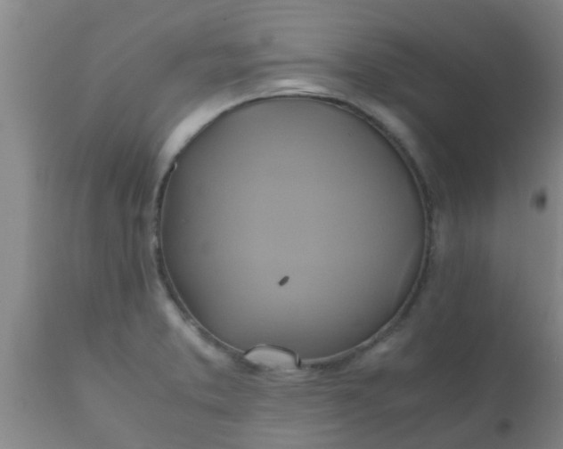 X0000110971373200907022234