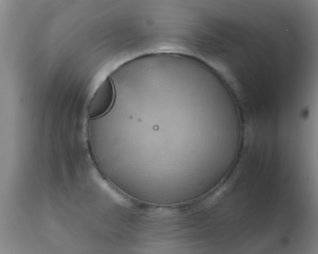 X0000110971374200907022234