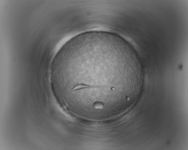 X0000110971375200907022234