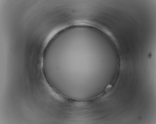 X0000110971376200907022234