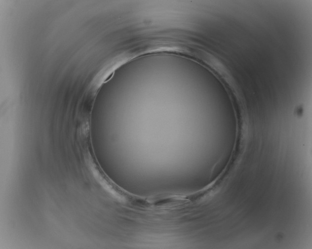 X0000110971377200907022234