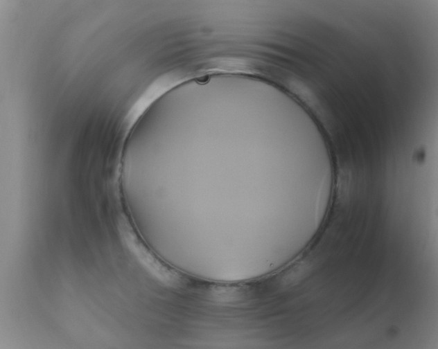 X0000110971378200907022234