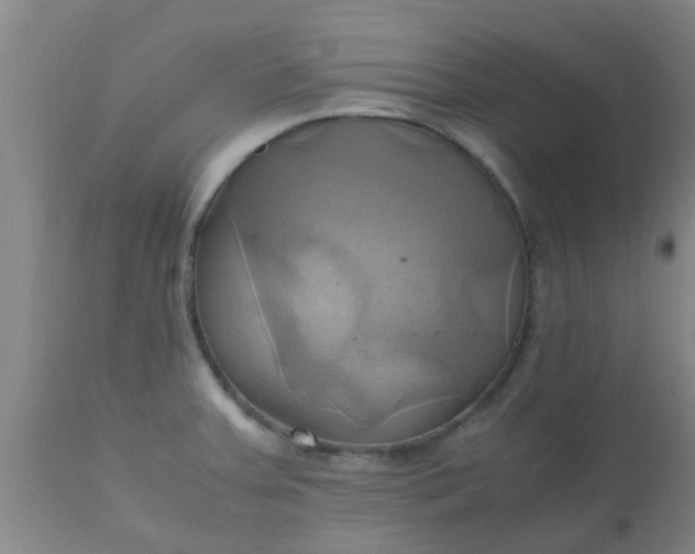 X0000110971379200907022234