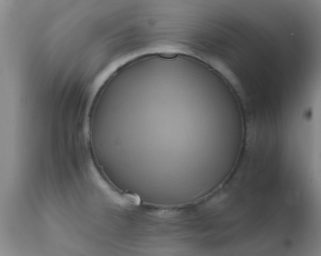 X0000110971380200907022234