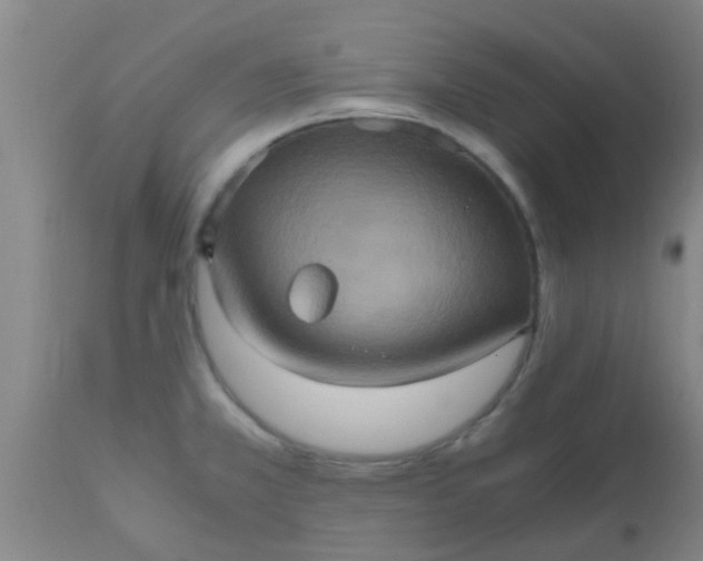 X0000110971381200907022234