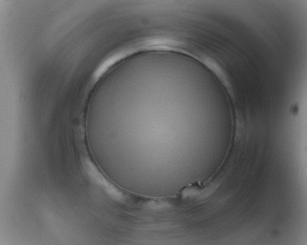 X0000110971384200907022234