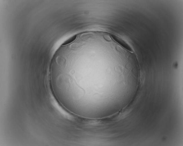 X0000110971387200907022234