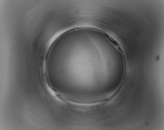 X0000110971388200907022234