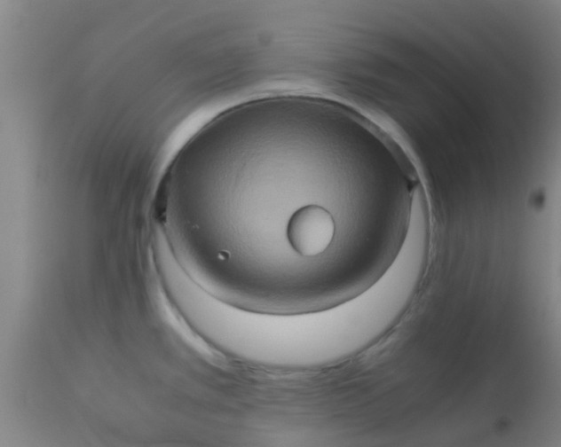 X0000110971389200907022234