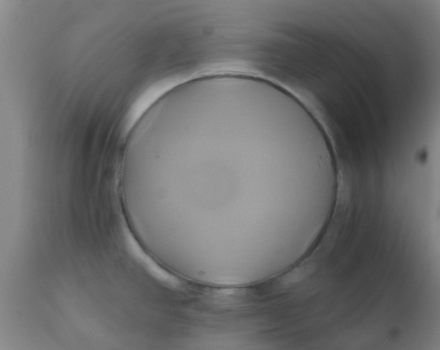 X0000110971390200907022234