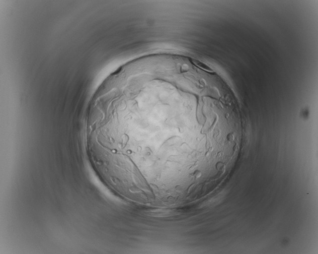 X0000110971391200907022234