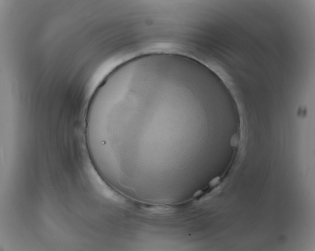 X0000110971392200907022234