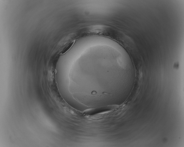 X0000110971394200907022233