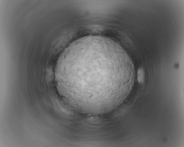 X0000110971395200907022233