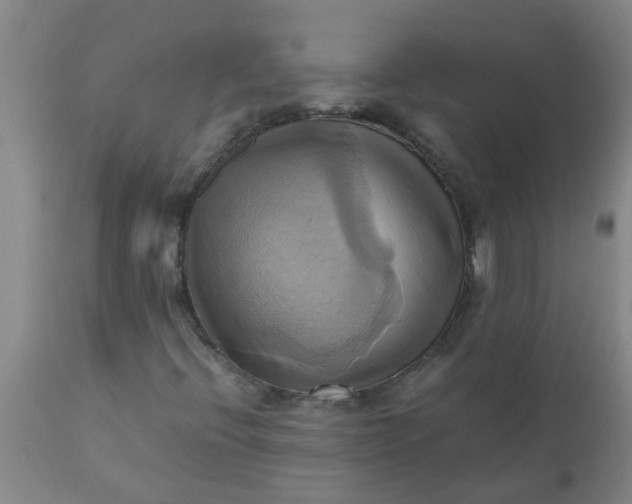 X0000110971396200907022233