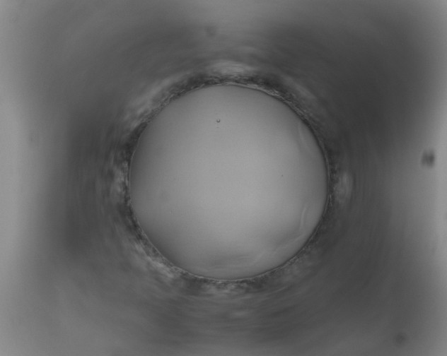 X0000110971397200907022233