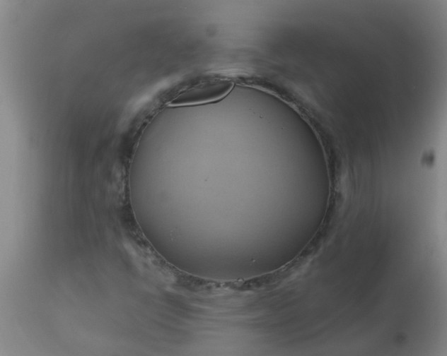 X0000110971398200907022233