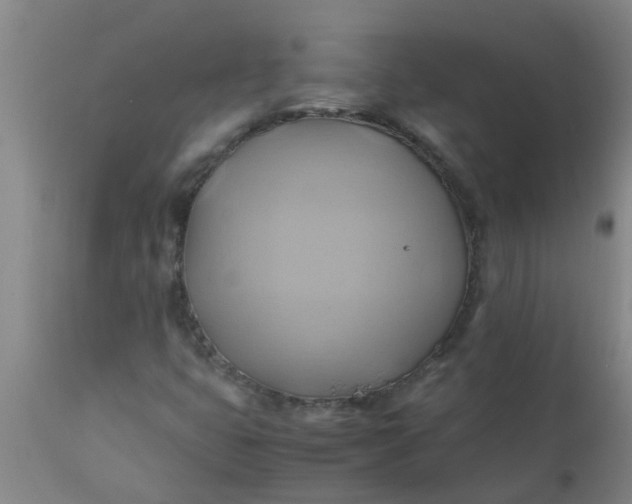 X0000110971399200907022233