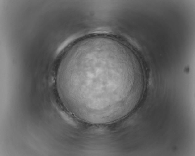 X0000110971400200907022234