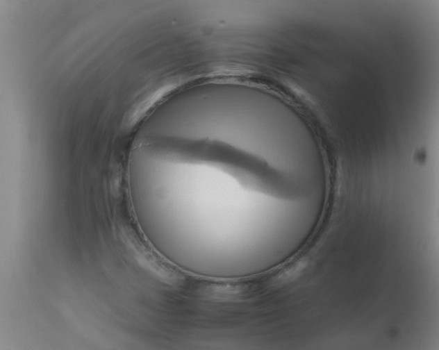 X0000110971401200907022234