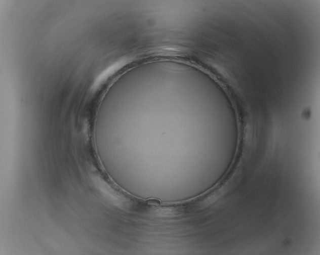 X0000110971402200907022234