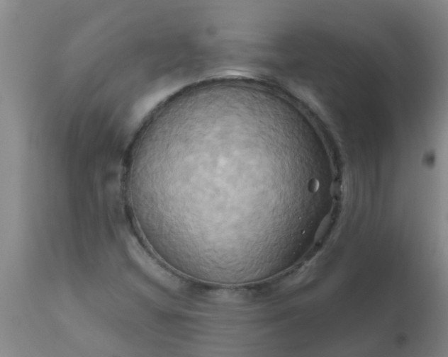 X0000110971404200907022234