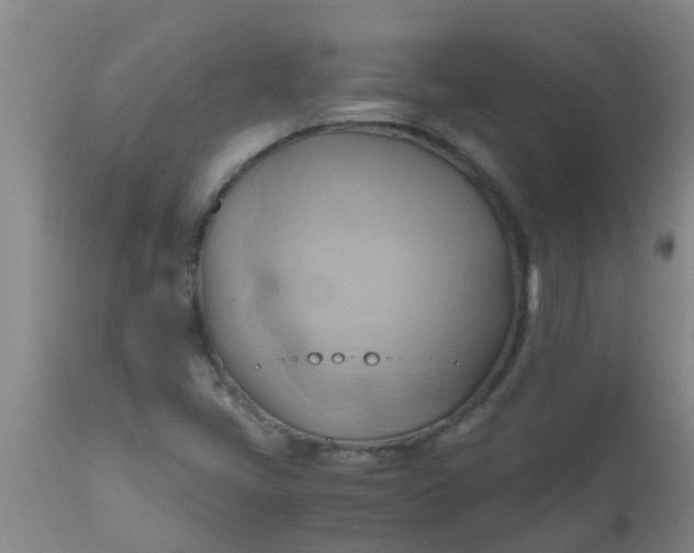 X0000110971405200907022234