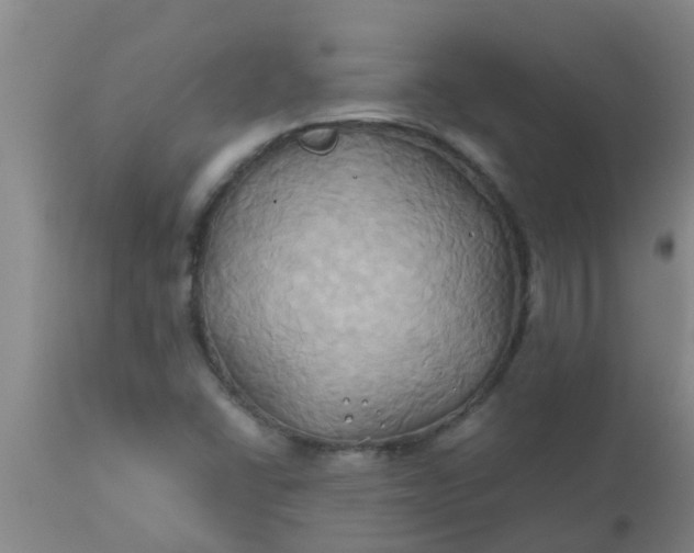 X0000110971406200907022234