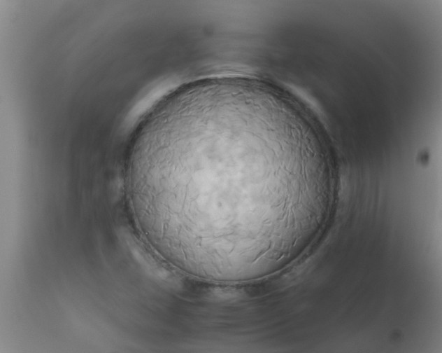 X0000110971407200907022234