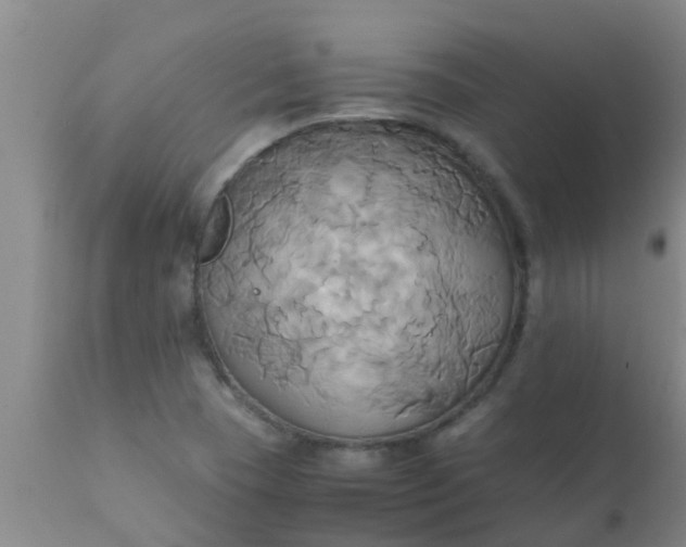 X0000110971409200907022234