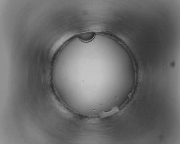 X0000110971410200907022234