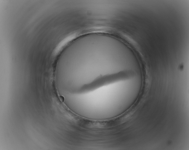 X0000110971411200907022234